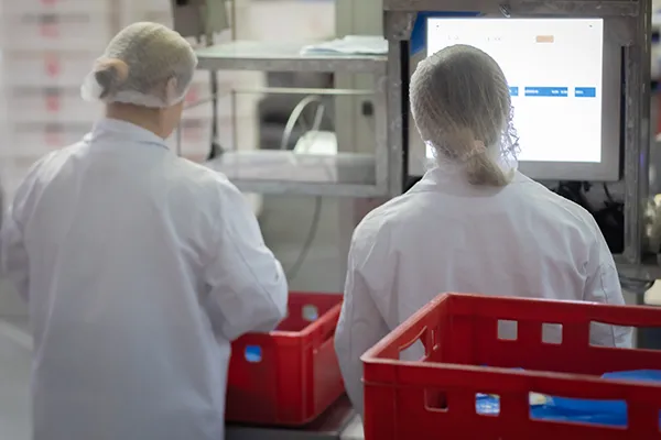 Nowoczesna linia produkcyjna